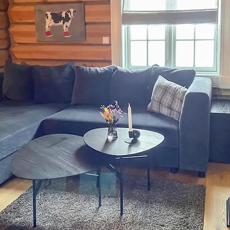 Amazing In With Wifi Holiday home Rauland